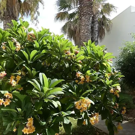 Villa Nini